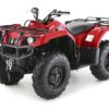 Yamaha Grizzly 350 4WD-8896