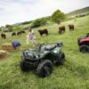 Yamaha Grizzly 350 4WD-8902