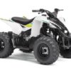 Yamaha YFZ50 2WD with a 49cc Single Cylinder, 4-stroke, air-cooled Engine-14074