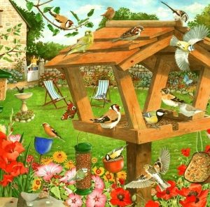 House of Puzzles The Redcastle Collection "Strictly for the Birds" 1000 Piece-0