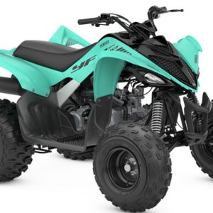 Ex Display - Yamaha YFM110R 2WD Junior ATV