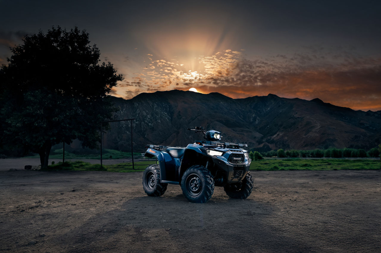 Brute Force 450 ESP a