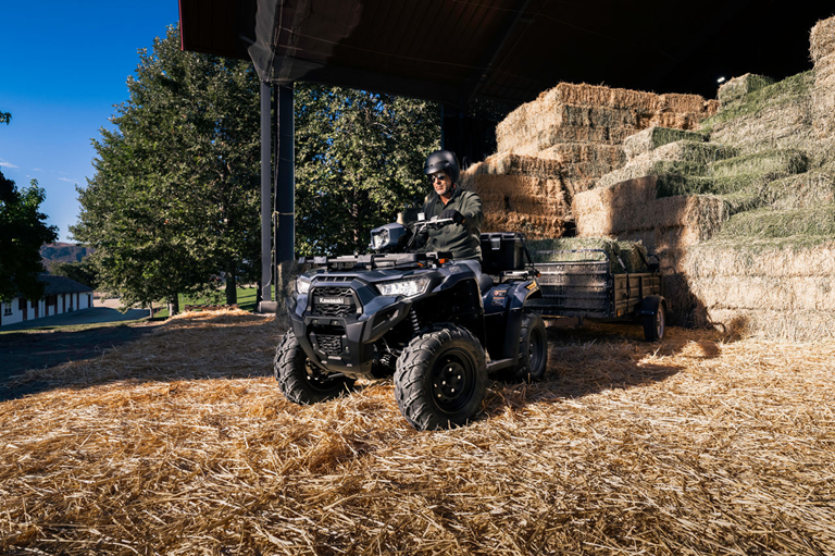 Brute Force 450 ESP b