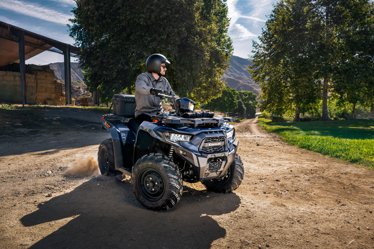 Brute Force 450 ESP c